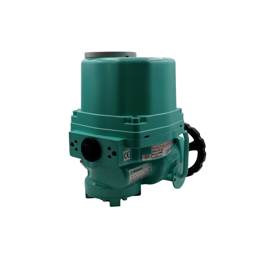 Actuador ElÃ©ctrico, TFV EA20011